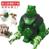 New pet dog toys, Strange Sound Bear, dog chewing toys, teeth grinding and cleaning, durable teeth grinding sticks, pet supplies details Picture
